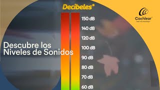 Conoce La Intensidad del Sonido Con Esta Prueba de Decibeles  Cochlear Latinoamérica [upl. by Kaden490]