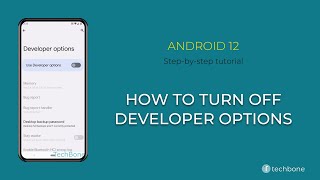 How to Turn Off Developer options Android 12 [upl. by Moorish]