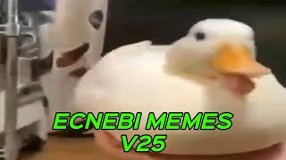 ECNEBI MEMES V25 [upl. by Garlen]