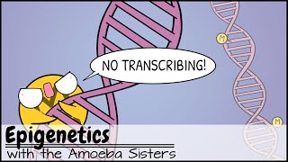 Epigenetics [upl. by Frasier726]