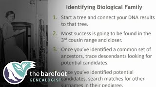 AncestryDNA  More Tips for Identifying Biological Family  Ancestry [upl. by Lepp]