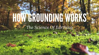 The Science of Grounding Techniques [upl. by Airun]