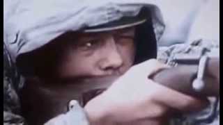 THE GERMAN INVASION OF RUSSIA Military History World War II Documentary [upl. by Enilecram]