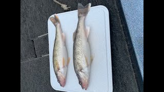 Brookville Spring Walleye Fishing [upl. by Katonah73]