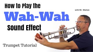 WahWah Sound Effect Trumpet Tutorial Plunger Mute [upl. by Rawde]