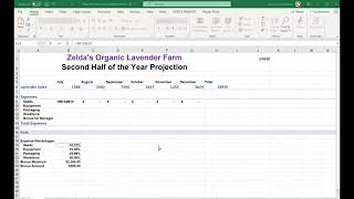 Excel Practice ITE 115 [upl. by Anwahsiek]