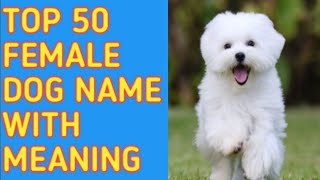 Top 100 Unique MALE Dog Names– Unusual Male Dog Names [upl. by Leonardo]