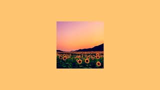 Rex Orange County  Sunflower  slowed [upl. by Roinuj]