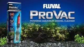 Fluval ProVac Powered Aquarium Gravel Cleaner [upl. by Alra]