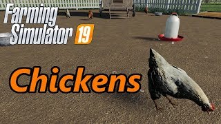 Farming Simulator 19 Tutorial  Chickens [upl. by Aihsenak395]