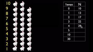 Crecimiento exponencial  Ecología  Biología  Khan Academy en Español [upl. by Anyek366]