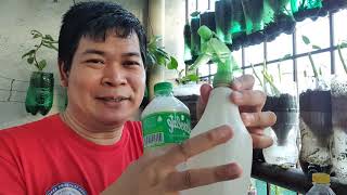 PAGGAWA NG NATURAL PESTICIDE with ENG sub [upl. by Cinda]