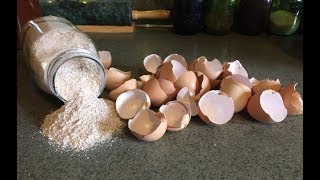 Health Benefits of Egg Shells [upl. by Sharl]