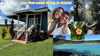 our first week living in Kauai house tour  more [upl. by Jedediah300]