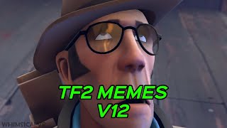 TF2 MEMES V12 [upl. by Pironi178]