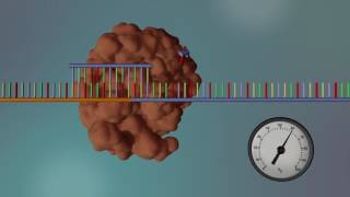 DNA Sequencing  3D [upl. by Hallee]