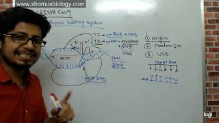 How to Make a Genetically Modified Plant [upl. by Latsyrhc5]