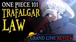 Trafalgar Law Explained One Piece 101 [upl. by Nytram]