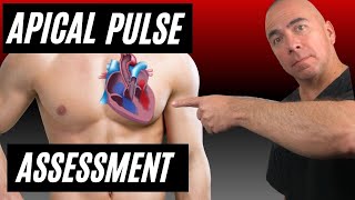 APICAL PULSE ASSESSMENT  How to assess the APICAL Pulse [upl. by Mcclain]