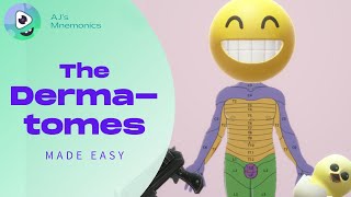 How to Easily Memorize the Dermatomes [upl. by Mandych537]