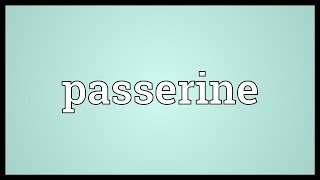 Passerine Meaning [upl. by Eli]