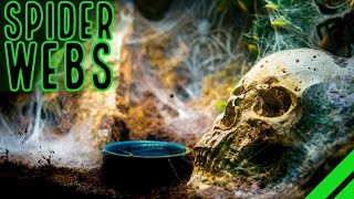 TOP 10 Heaviest Webbing Tarantulas BIG Spiders BIGGER Webs [upl. by Teevens463]