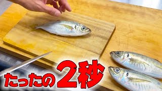 現役 せり人 が 勧める ！ アジ の 速卸し ＆ 裏技 【魚 捌き教室 ・せり人ムタロー 】 [upl. by Kleiman]