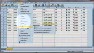 Reliability test Compute Cronbachs alpha using SPSS [upl. by Okechuku]