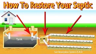 Restoring A Septic Drain Field First Steps Least Vs Most Expensive [upl. by Bart]