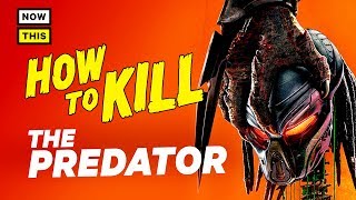 How to Kill the Predator  NowThis Nerd [upl. by Stella]