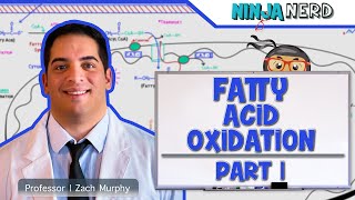 Metabolism  Fatty Acid Oxidation Part 1 [upl. by Ariday]