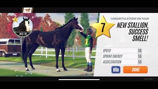 Rival Stars Horse Racing How to breed black horses  road to level 20 Mobile Edition [upl. by Enytsirk]