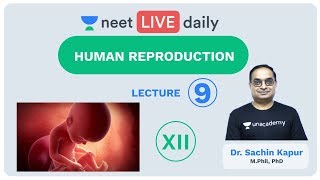 Human Reproduction  Lecture 9  Class 12  Unacademy NEET  LIVE DAILY  NEET Biology  Dr Sachin [upl. by Wolfson130]