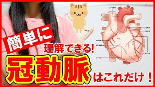 【冠動脈がわかる！】冠動脈の解剖や知識をわかりやすく解説！心臓カテーテル治療に必要な知識はこれ！ [upl. by Crescen]