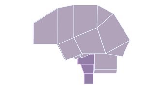 Brain Anatomy  3D Schematic [upl. by Aicatsue]