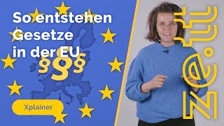 So entstehen Gesetze in der Europäischen Union [upl. by Kelvin]