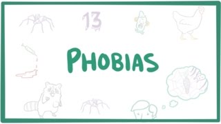 Phobias  specific phobias agoraphobia amp social phobia [upl. by Kcirre]