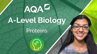 AQA A Level Biology Proteins [upl. by Einot855]