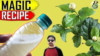 BEST ORGANIC PESTICIDE FORMULA  Home made Pest Control Recipe [upl. by Nolyarg]