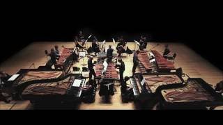 Steve Reich Music for 18 Musicians [upl. by Enitsirhk]