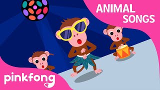 Cheeky Monkey  Animal Songs  Monkey Song  Pinkfong Songs for Children [upl. by Nesyaj872]