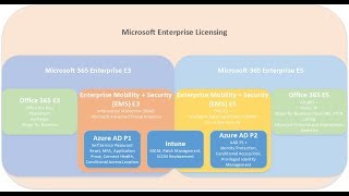 Microsoft 365 E3 and E5 Licensing [upl. by Annaeel]