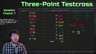 ThreePoint Testcross Example  Genetics [upl. by Aral52]