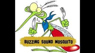 Mosquito fly sound [upl. by Oaoj]