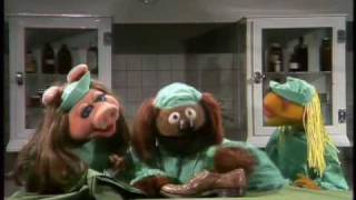 The Muppet Show Veterinarians Hospital  Shoe [upl. by Ethelda]