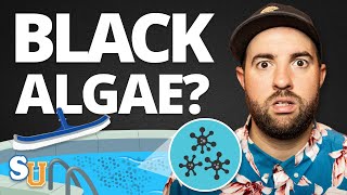 How To Get Rid Of BLACK ALGAE In Your POOL [upl. by Tedmann]