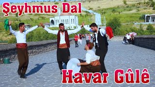 Havar Güle Halay Govend Cida  Şeyhmus Dal  Official Video [upl. by Nogam291]