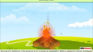 Combustion and Flame  Combustion  Class 8 [upl. by Swithbart]