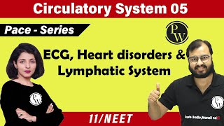 Circulatory System 05  ECG  Heart Disorders  Lymphatic System  Class 11  NEET  PACE SERIES [upl. by Deadman]