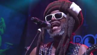 STEEL PULSE live  Main Stage 2017 [upl. by Iramaj485]